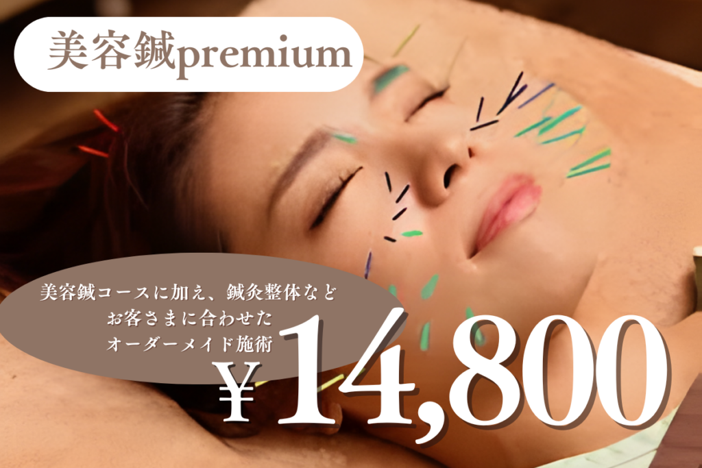 美容鍼プレミアムコース
美容鍼コース+鍼灸整体などお客さまに合わせたオーダーメイド施術
14800円
